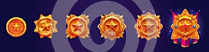 Round badge with star for game level rank