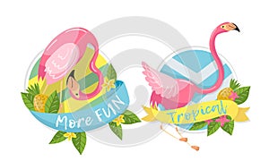 Round Badges with Exotic Pink Flamingo and Leaves Vector Set