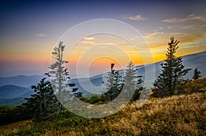 Round Bald sunset, Roan Mountain State Park photo