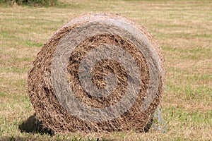 Round bale of hay