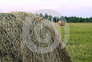 Round bale of hay on a beveled meadow closeup