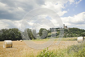 Round bale of hay in Tuscany countryside near the medieval town of Poppi