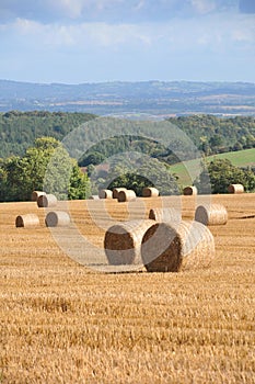Round Bales