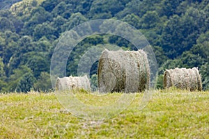 Round Bales of Hay