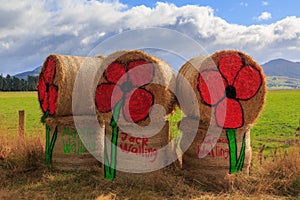 Anzac Day poppies painted on hay bales