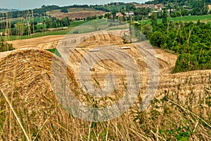 Round bales of hay in emilia romagna