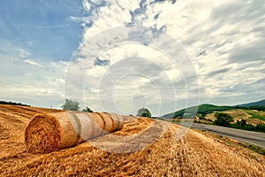 Round bales of hay in emilia romagna