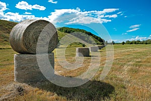 Round bales of hay in the field.