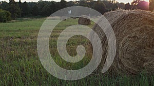 Round bales of hay on the field in the rays of the setting sun. The camera moves from left to right. The concept of agriculture