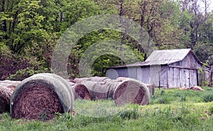 Round bales of hay and grey barn