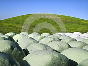 Round bales and a hill photo