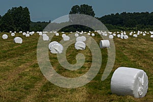 Round bales on a meadow