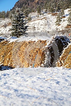Round bales