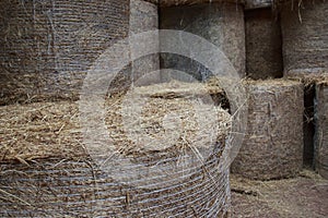 Round Bales Stacked in the Loft