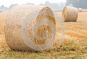 Round bales of straw on a stubble field