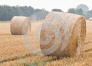 Round bales of straw on a stubble field