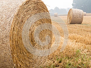 Round bales of straw on a stubble field