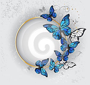 Round banner with blue butterflies morpho photo