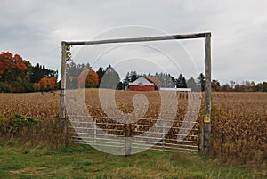Round barn in a corn field