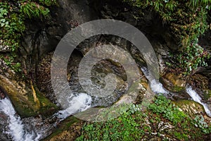 round basin with clear water in the forest