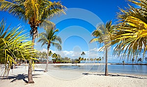 Round Beach in Miami Florida USA