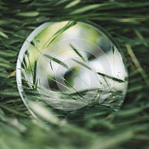 Round beautiful glass in the grass