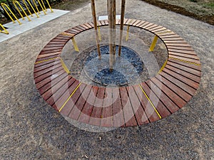 round bench made of wood encloses a tree, sitting around with