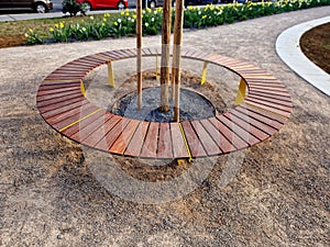 round bench made of wood encloses a tree, sitting around with wood