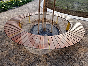 round bench made of wood encloses a tree, sitting around with wood