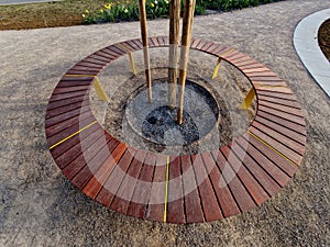 round bench made of wood encloses a tree, sitting around with wood