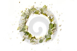 Round border frame with white jasmin flowers, buds