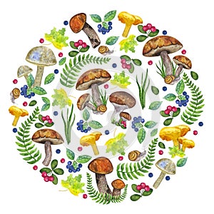 Round botanical composition: edible mushrooms, leaves and berries, fern, snail, grass, cranberry, mountain ash. Hand