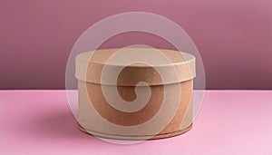 Round brown cardboard box on pink background. Mock up. Packaging for delivery. Eco package