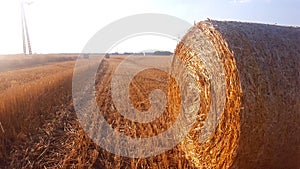 Round bundles of dry grass in the field.