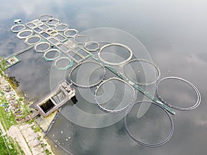 round cages for fish farming aerial photo on a summer day