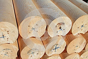 The round calibrated building bar from a tree.