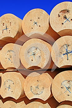 The round calibrated building bar from a tree