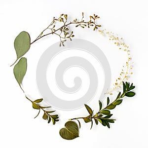 Round circle frame made of green branches and leaves on white background. Flat lay, top view