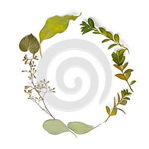 Round circle frame made of green branches and leaves on white background. Flat lay, top view