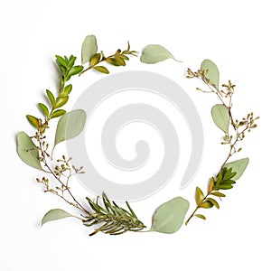 Round circle frame made of green branches and leaves on white background. Flat lay, top view