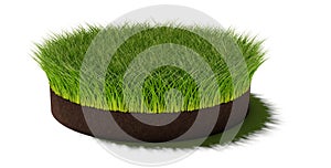 Round circle patch or island of long green grass on brown soil ground layer isolated on white background, spring or eco concept