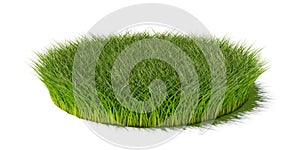 Round circle patch or island of long green grass isolated on white background, spring or eco concept template element