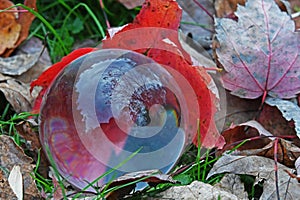 A round clear globe reflects fall colors in the bubble.