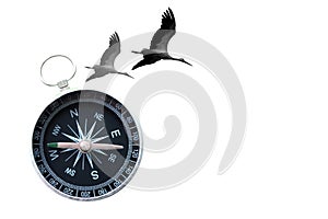 Round compass and migratory birds isolated on white background