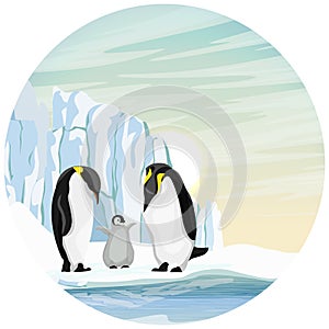 Round composition. The Aptenodytes forsteri family of emperor penguins in Antarctica. Glacier, ocean and snowy plain