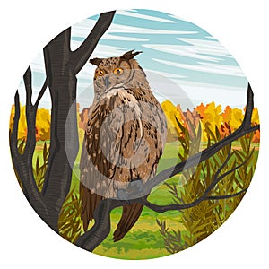 Round composition. Eagle owl sits on a tree branch. Wild birds in autumn.