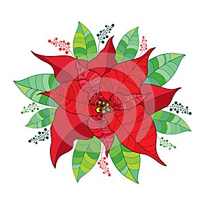 Round composition with vector Poinsettia flower or Christmas Star in red on white.