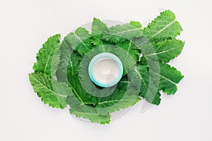 Round cosmetic jar with cream on fresh textured green leaves background. Nature style, homemade spa, beauty products, organic