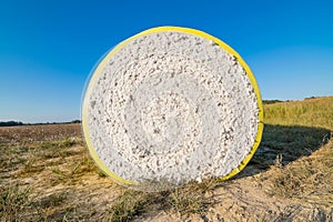 Round Cotton Bale In Autumn.