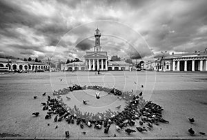 A round dance of pigeons on the square of the old town of Kostroma. Russia. black and white